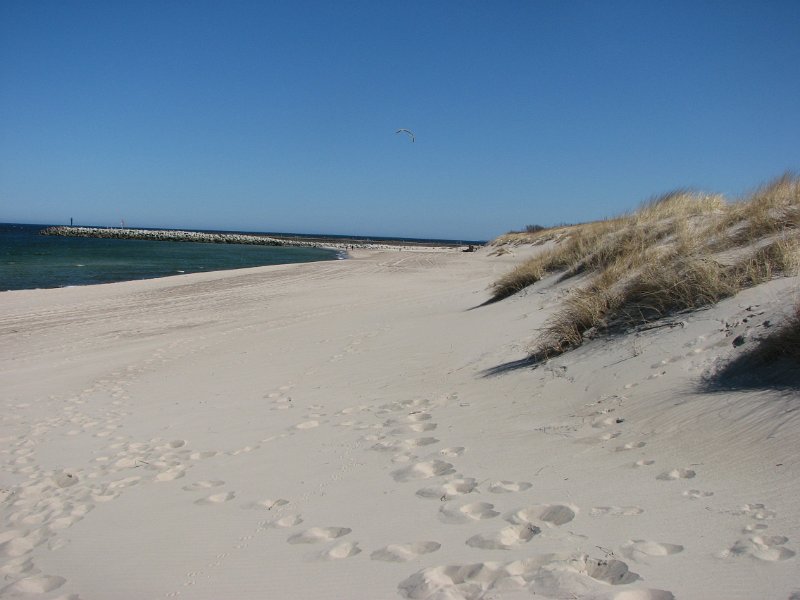 Plaża zachodnia za osiedlem na wydmie